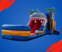 Shark Attack Wet/Dry Combo