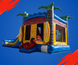 Screenshot202026 01 2120120808 1769018902 Shark Attack Wet/Dry Combo